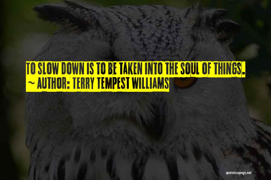Terry Tempest Williams Quotes: To Slow Down Is To Be Taken Into The Soul Of Things.