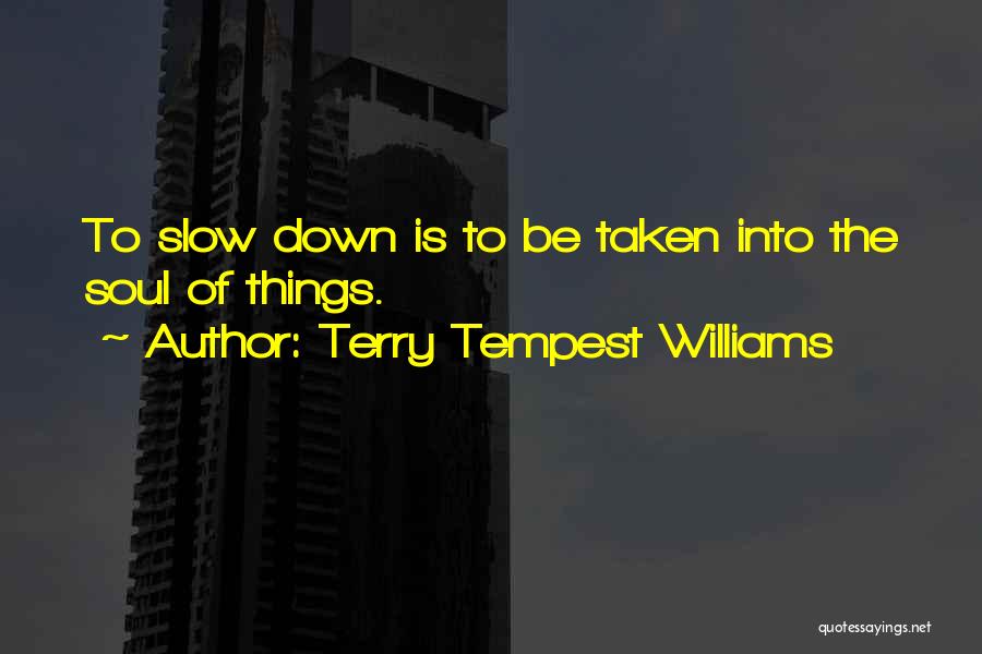 Terry Tempest Williams Quotes: To Slow Down Is To Be Taken Into The Soul Of Things.