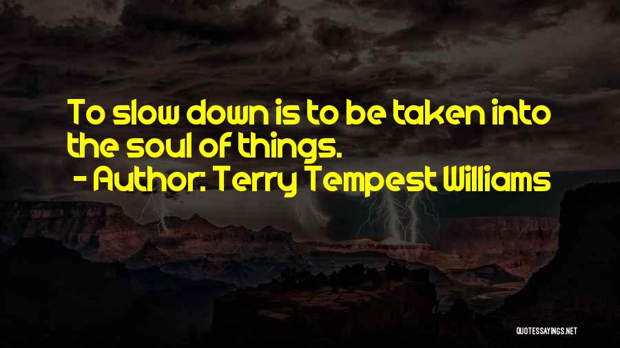 Terry Tempest Williams Quotes: To Slow Down Is To Be Taken Into The Soul Of Things.