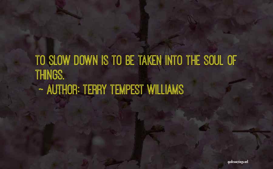 Terry Tempest Williams Quotes: To Slow Down Is To Be Taken Into The Soul Of Things.
