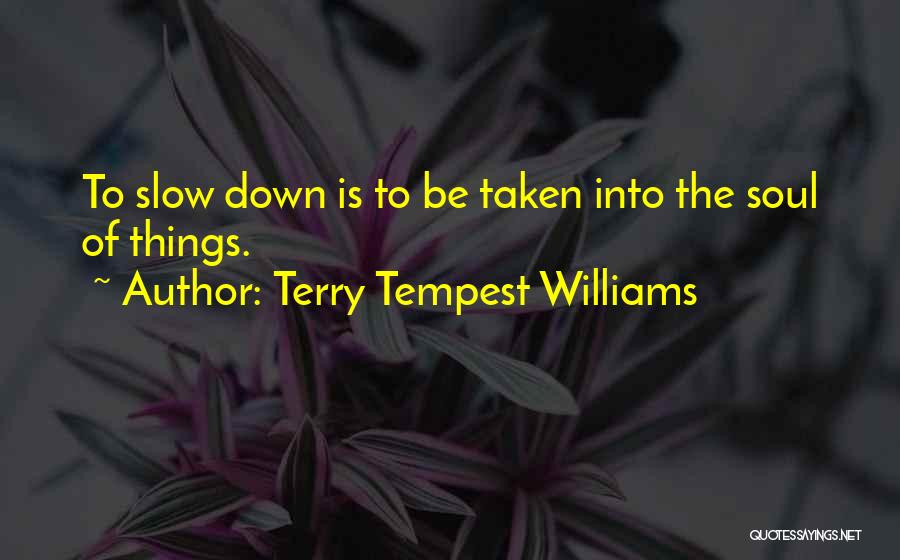 Terry Tempest Williams Quotes: To Slow Down Is To Be Taken Into The Soul Of Things.
