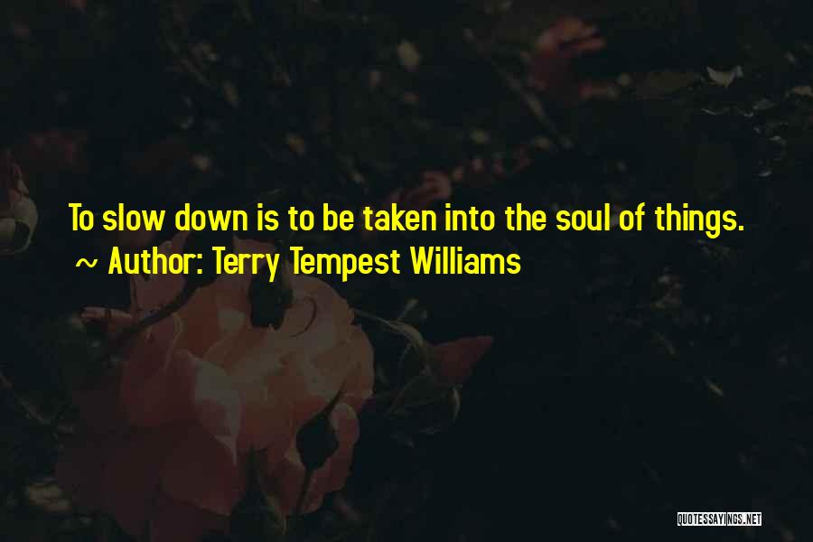 Terry Tempest Williams Quotes: To Slow Down Is To Be Taken Into The Soul Of Things.