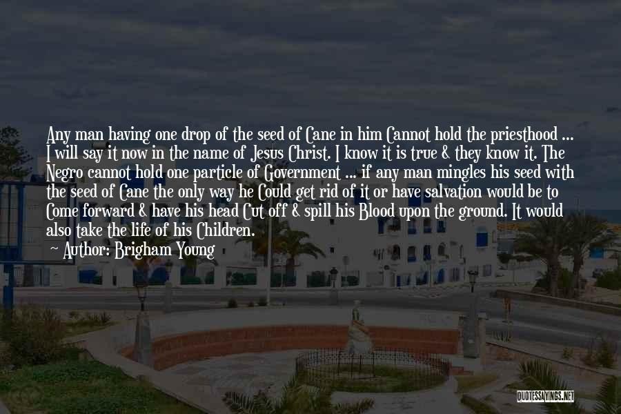 Brigham Young Quotes: Any Man Having One Drop Of The Seed Of Cane In Him Cannot Hold The Priesthood ... I Will Say