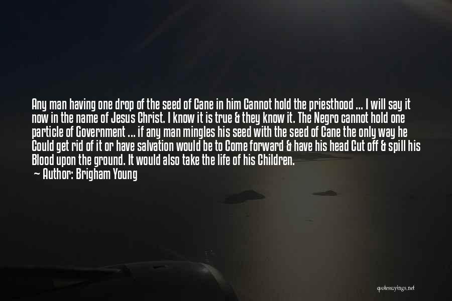 Brigham Young Quotes: Any Man Having One Drop Of The Seed Of Cane In Him Cannot Hold The Priesthood ... I Will Say