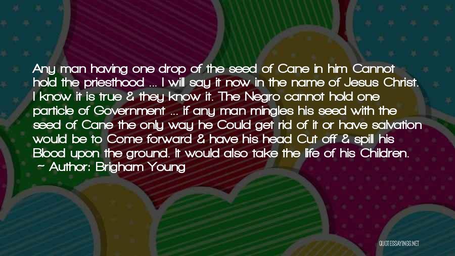 Brigham Young Quotes: Any Man Having One Drop Of The Seed Of Cane In Him Cannot Hold The Priesthood ... I Will Say