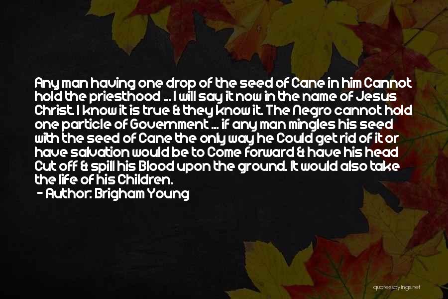 Brigham Young Quotes: Any Man Having One Drop Of The Seed Of Cane In Him Cannot Hold The Priesthood ... I Will Say