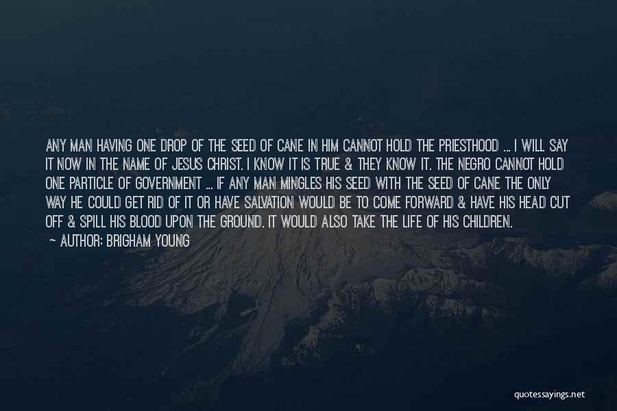 Brigham Young Quotes: Any Man Having One Drop Of The Seed Of Cane In Him Cannot Hold The Priesthood ... I Will Say