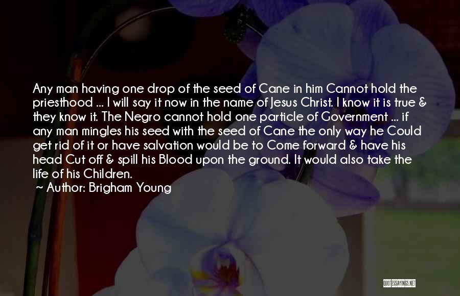 Brigham Young Quotes: Any Man Having One Drop Of The Seed Of Cane In Him Cannot Hold The Priesthood ... I Will Say