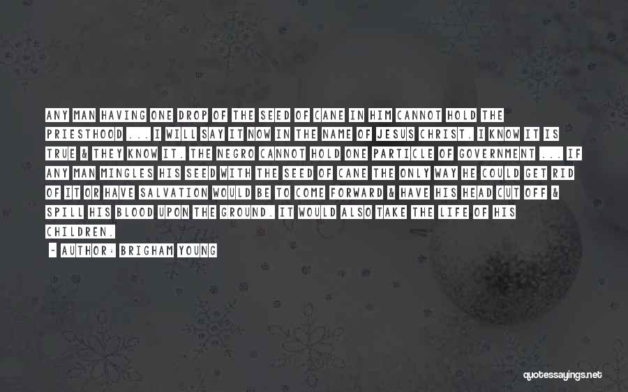 Brigham Young Quotes: Any Man Having One Drop Of The Seed Of Cane In Him Cannot Hold The Priesthood ... I Will Say