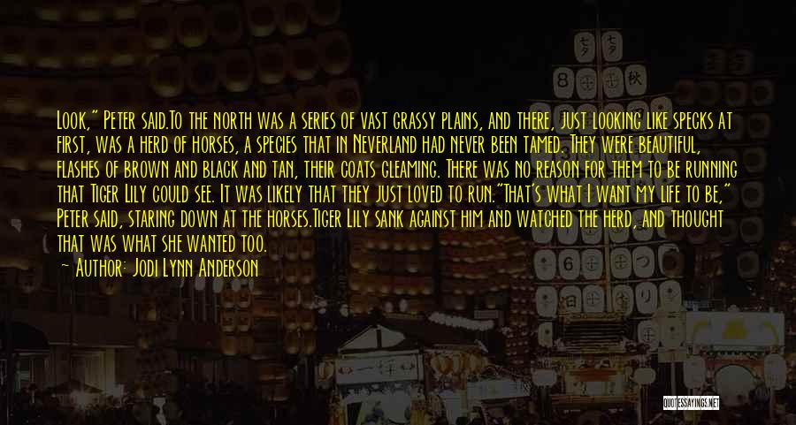 Jodi Lynn Anderson Quotes: Look, Peter Said.to The North Was A Series Of Vast Grassy Plains, And There, Just Looking Like Specks At First,