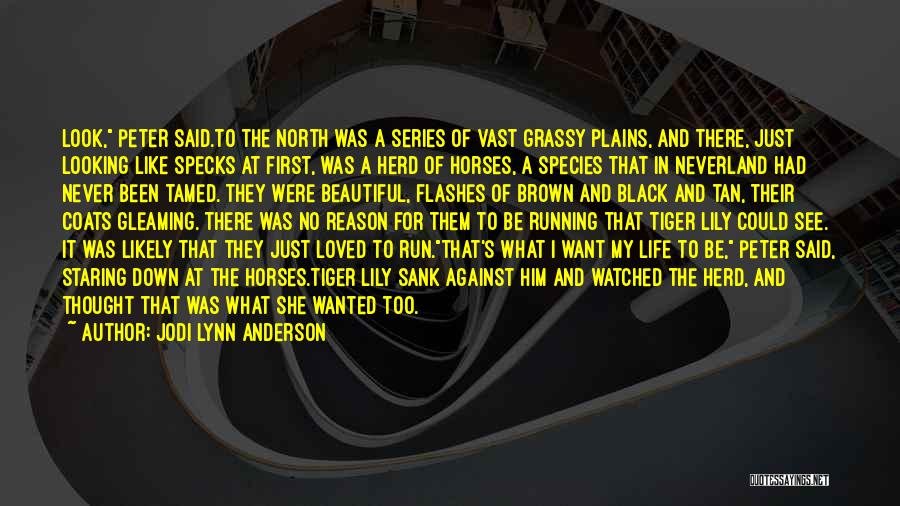 Jodi Lynn Anderson Quotes: Look, Peter Said.to The North Was A Series Of Vast Grassy Plains, And There, Just Looking Like Specks At First,