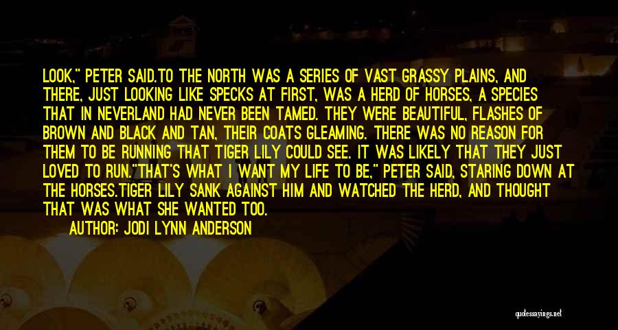 Jodi Lynn Anderson Quotes: Look, Peter Said.to The North Was A Series Of Vast Grassy Plains, And There, Just Looking Like Specks At First,