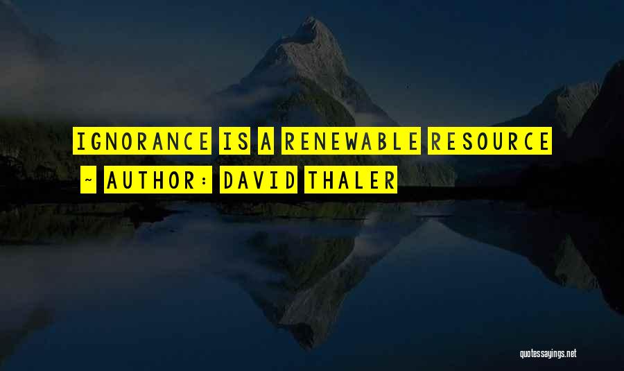 David Thaler Quotes: Ignorance Is A Renewable Resource