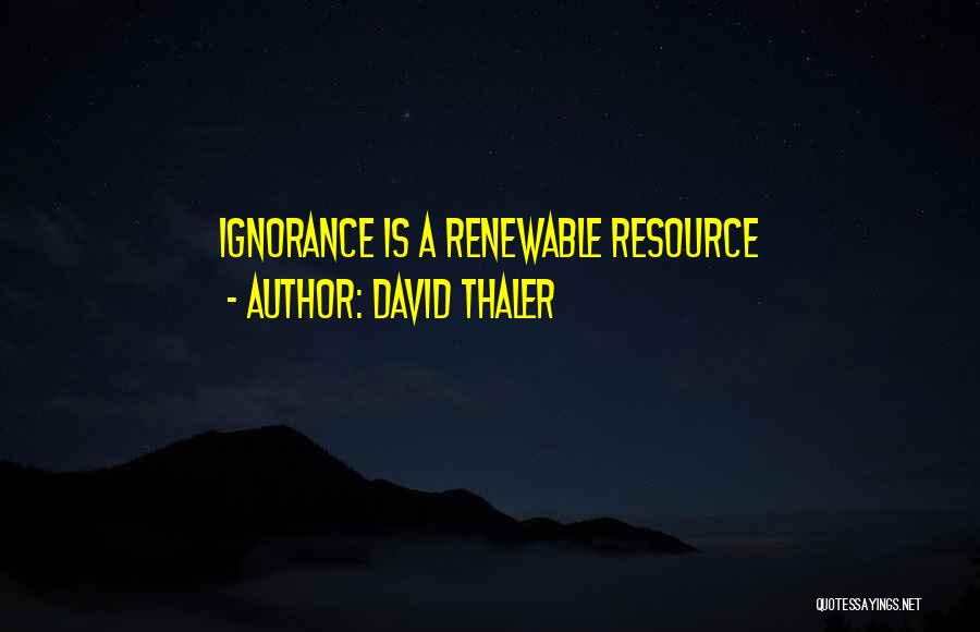 David Thaler Quotes: Ignorance Is A Renewable Resource