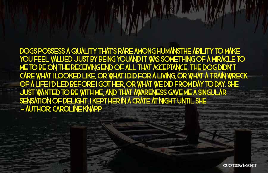 Caroline Knapp Quotes: Dogs Possess A Quality That's Rare Among Humansthe Ability To Make You Feel Valued Just By Being Youand It Was