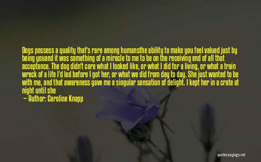 Caroline Knapp Quotes: Dogs Possess A Quality That's Rare Among Humansthe Ability To Make You Feel Valued Just By Being Youand It Was