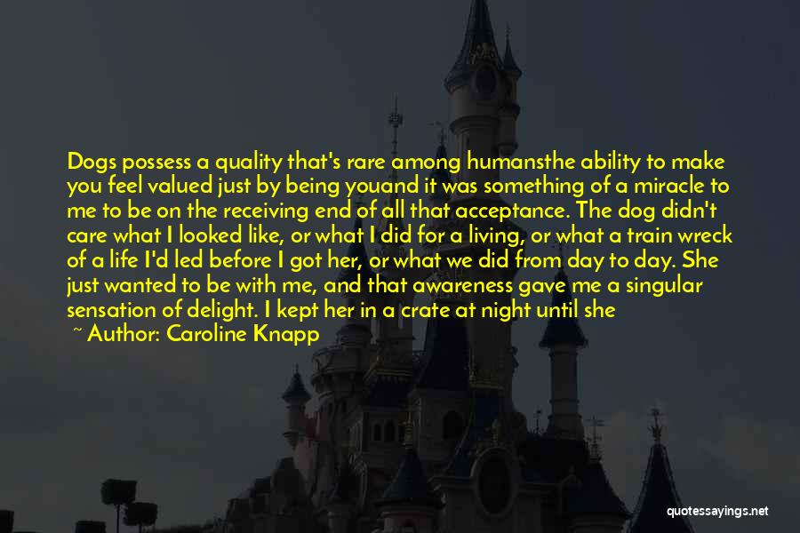 Caroline Knapp Quotes: Dogs Possess A Quality That's Rare Among Humansthe Ability To Make You Feel Valued Just By Being Youand It Was