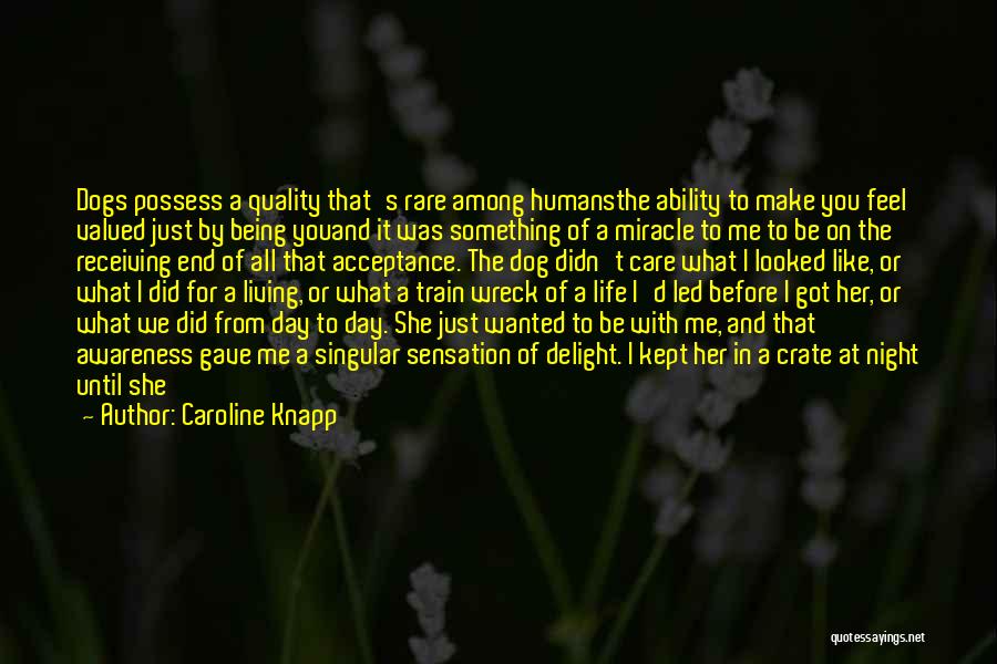 Caroline Knapp Quotes: Dogs Possess A Quality That's Rare Among Humansthe Ability To Make You Feel Valued Just By Being Youand It Was