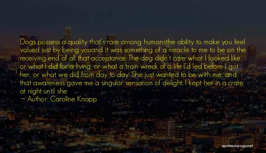 Caroline Knapp Quotes: Dogs Possess A Quality That's Rare Among Humansthe Ability To Make You Feel Valued Just By Being Youand It Was