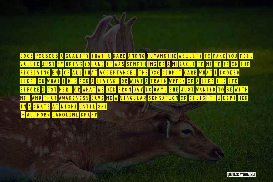 Caroline Knapp Quotes: Dogs Possess A Quality That's Rare Among Humansthe Ability To Make You Feel Valued Just By Being Youand It Was