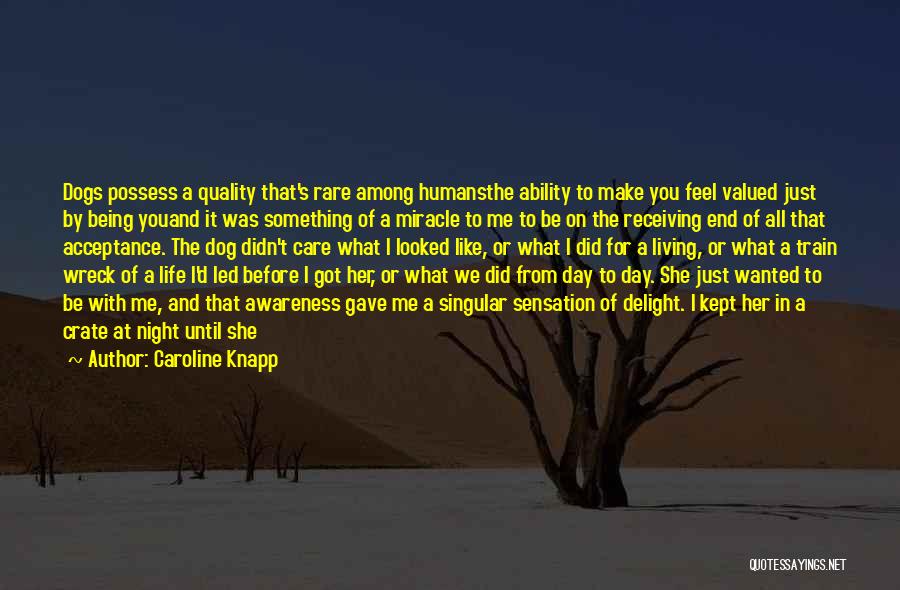 Caroline Knapp Quotes: Dogs Possess A Quality That's Rare Among Humansthe Ability To Make You Feel Valued Just By Being Youand It Was