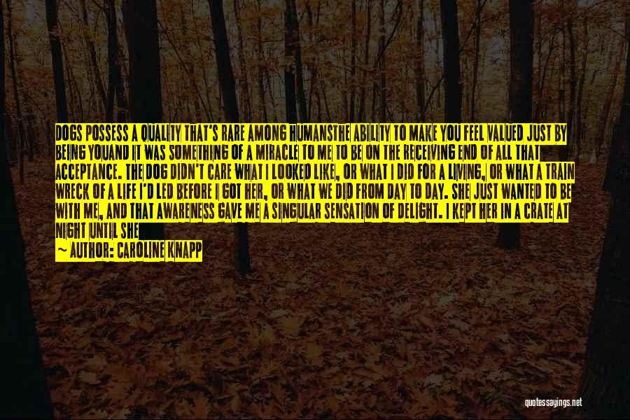 Caroline Knapp Quotes: Dogs Possess A Quality That's Rare Among Humansthe Ability To Make You Feel Valued Just By Being Youand It Was