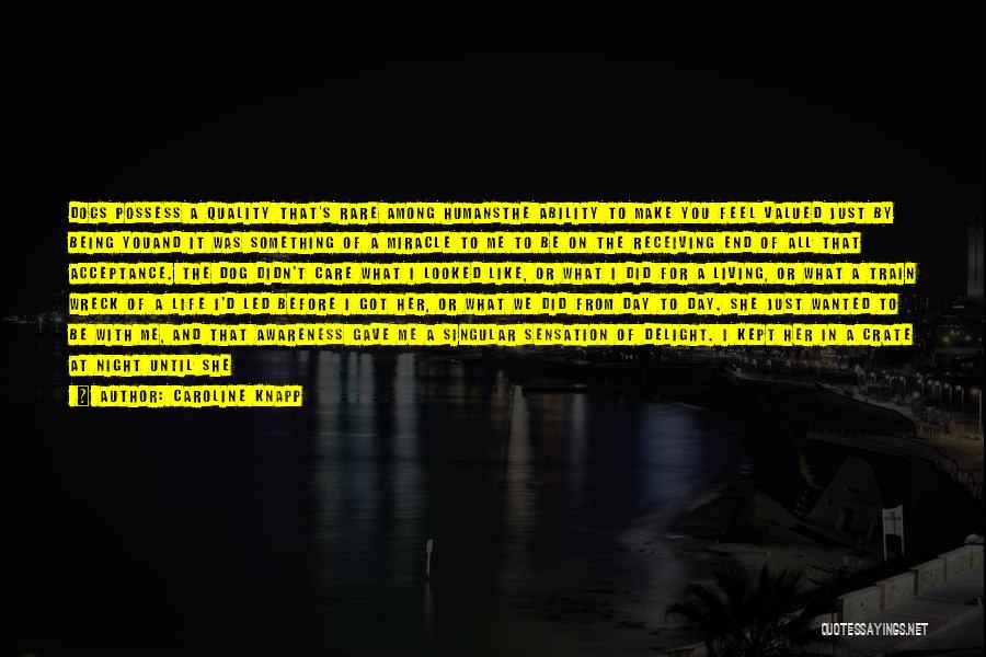 Caroline Knapp Quotes: Dogs Possess A Quality That's Rare Among Humansthe Ability To Make You Feel Valued Just By Being Youand It Was
