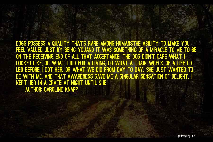 Caroline Knapp Quotes: Dogs Possess A Quality That's Rare Among Humansthe Ability To Make You Feel Valued Just By Being Youand It Was