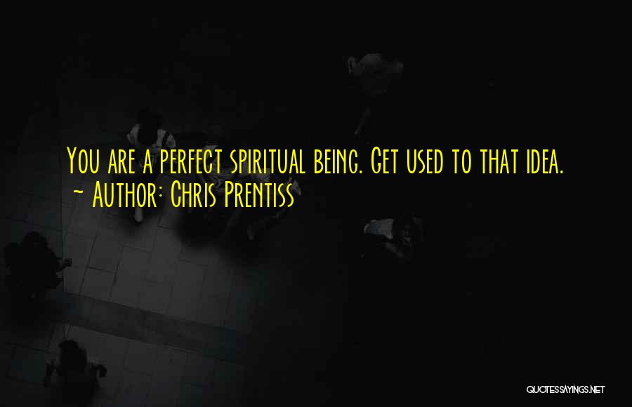 Chris Prentiss Quotes: You Are A Perfect Spiritual Being. Get Used To That Idea.