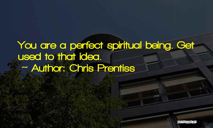 Chris Prentiss Quotes: You Are A Perfect Spiritual Being. Get Used To That Idea.