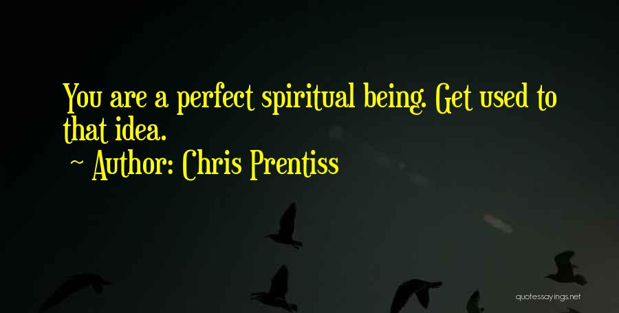 Chris Prentiss Quotes: You Are A Perfect Spiritual Being. Get Used To That Idea.