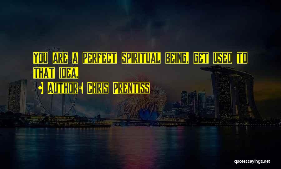 Chris Prentiss Quotes: You Are A Perfect Spiritual Being. Get Used To That Idea.