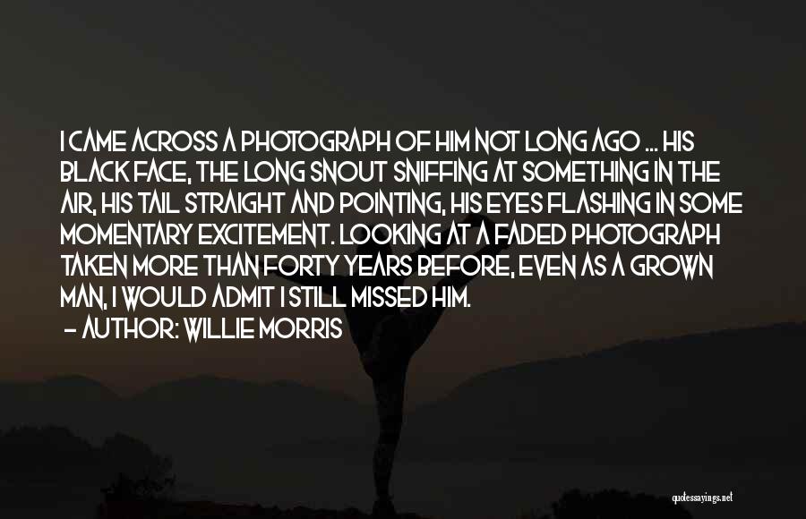 Willie Morris Quotes: I Came Across A Photograph Of Him Not Long Ago ... His Black Face, The Long Snout Sniffing At Something