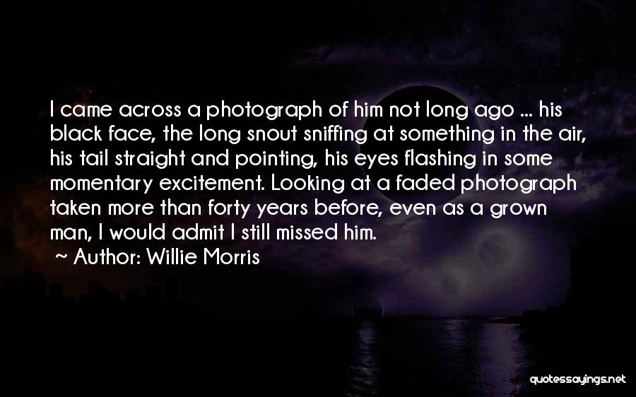 Willie Morris Quotes: I Came Across A Photograph Of Him Not Long Ago ... His Black Face, The Long Snout Sniffing At Something