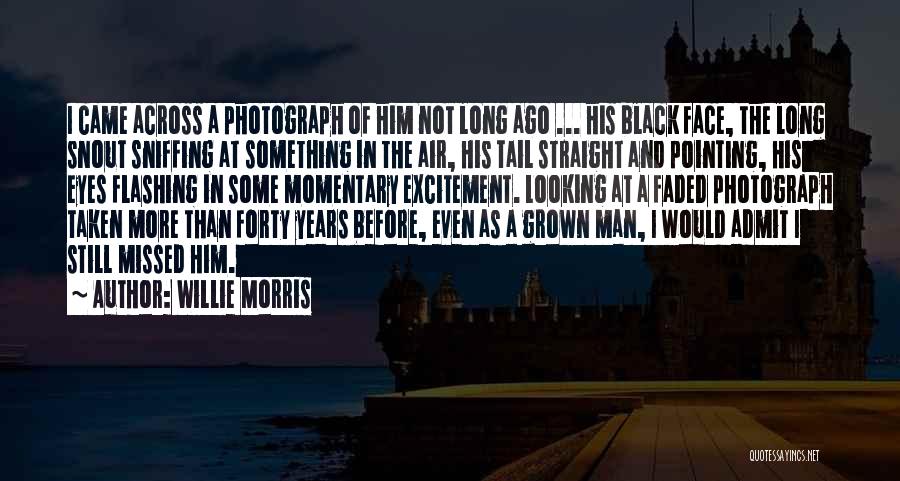 Willie Morris Quotes: I Came Across A Photograph Of Him Not Long Ago ... His Black Face, The Long Snout Sniffing At Something