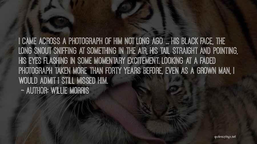 Willie Morris Quotes: I Came Across A Photograph Of Him Not Long Ago ... His Black Face, The Long Snout Sniffing At Something