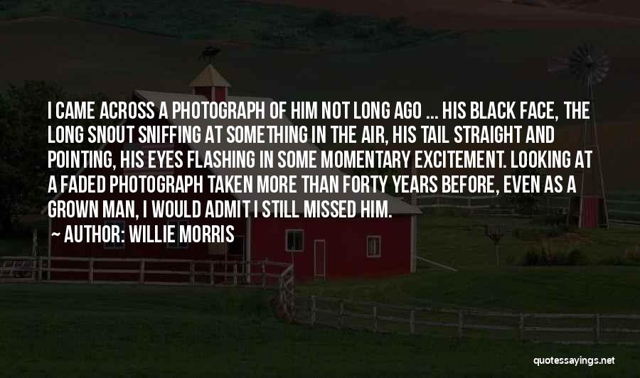 Willie Morris Quotes: I Came Across A Photograph Of Him Not Long Ago ... His Black Face, The Long Snout Sniffing At Something