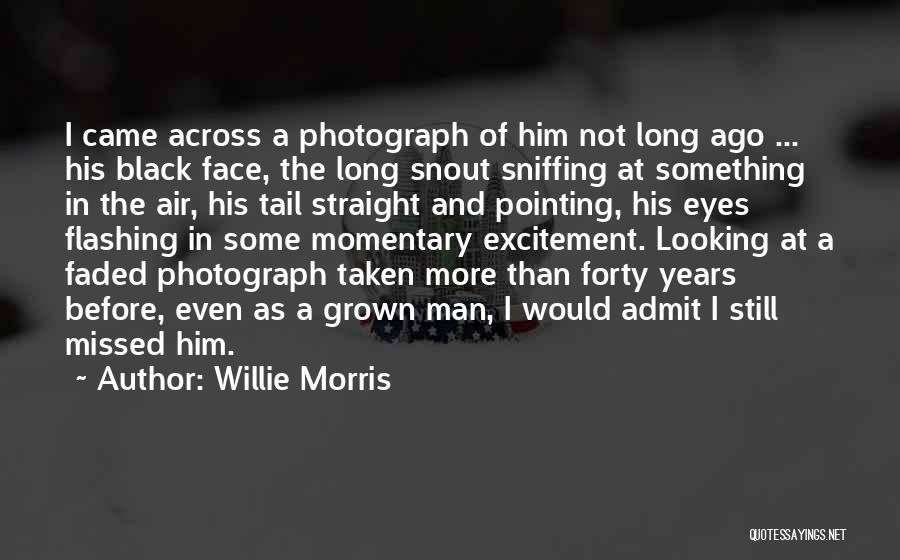 Willie Morris Quotes: I Came Across A Photograph Of Him Not Long Ago ... His Black Face, The Long Snout Sniffing At Something