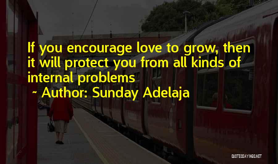 Sunday Adelaja Quotes: If You Encourage Love To Grow, Then It Will Protect You From All Kinds Of Internal Problems