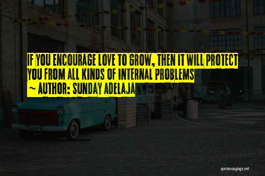 Sunday Adelaja Quotes: If You Encourage Love To Grow, Then It Will Protect You From All Kinds Of Internal Problems