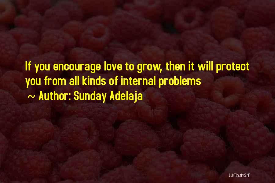 Sunday Adelaja Quotes: If You Encourage Love To Grow, Then It Will Protect You From All Kinds Of Internal Problems