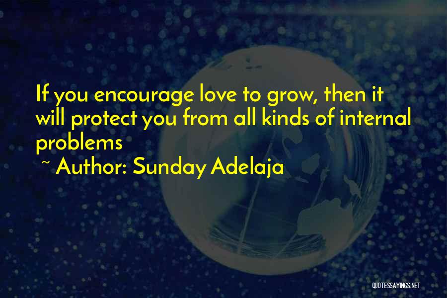 Sunday Adelaja Quotes: If You Encourage Love To Grow, Then It Will Protect You From All Kinds Of Internal Problems