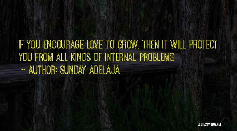 Sunday Adelaja Quotes: If You Encourage Love To Grow, Then It Will Protect You From All Kinds Of Internal Problems