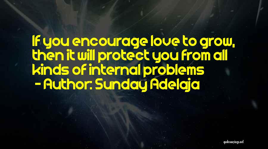 Sunday Adelaja Quotes: If You Encourage Love To Grow, Then It Will Protect You From All Kinds Of Internal Problems