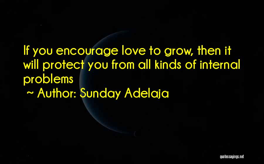 Sunday Adelaja Quotes: If You Encourage Love To Grow, Then It Will Protect You From All Kinds Of Internal Problems