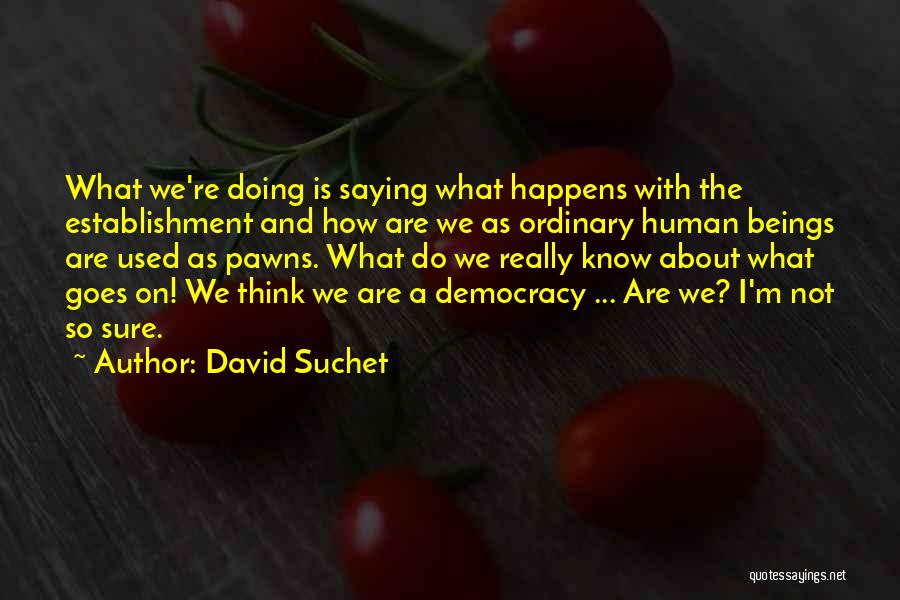 David Suchet Quotes: What We're Doing Is Saying What Happens With The Establishment And How Are We As Ordinary Human Beings Are Used