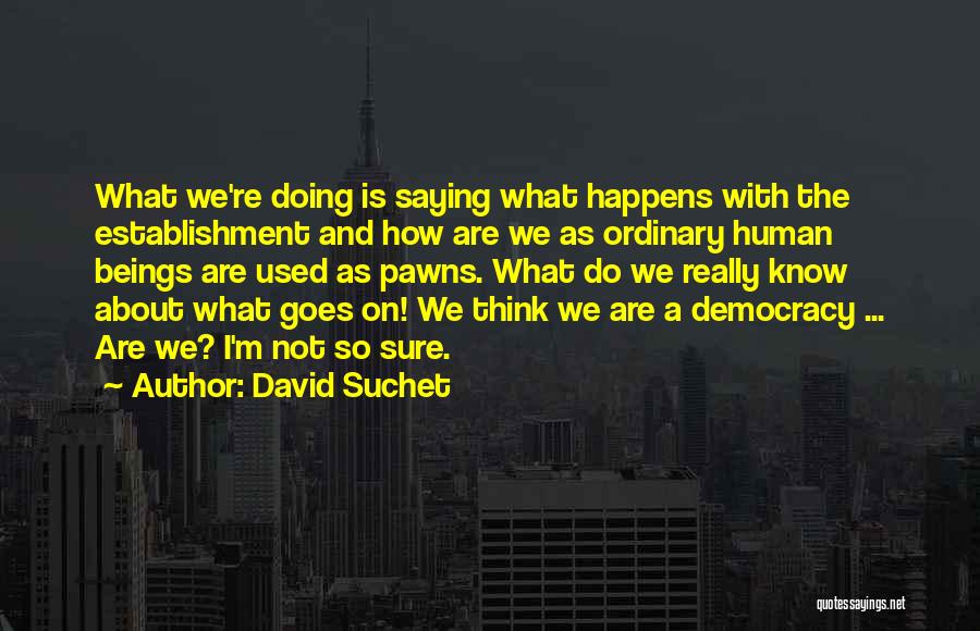 David Suchet Quotes: What We're Doing Is Saying What Happens With The Establishment And How Are We As Ordinary Human Beings Are Used