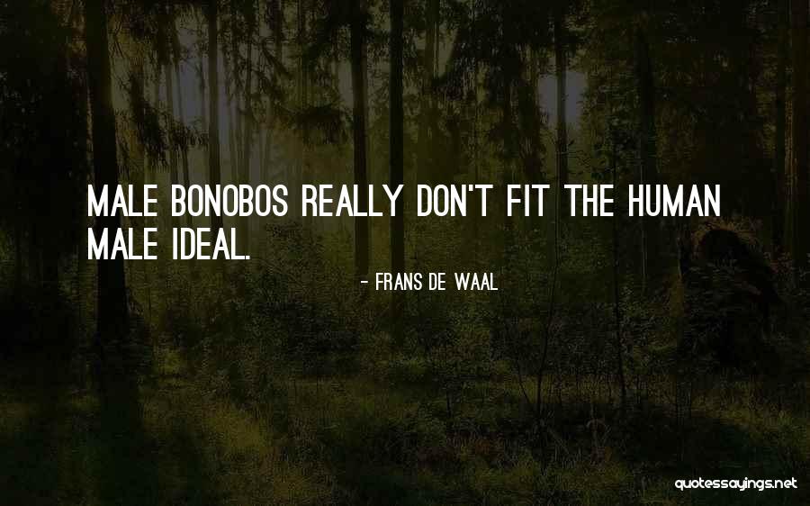 1541 Steel Quotes By Frans De Waal 1541 Steel Quotes By Frans De Waal