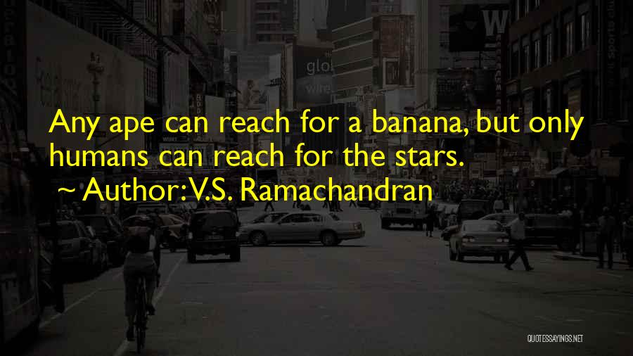 V.S. Ramachandran Quotes: Any Ape Can Reach For A Banana, But Only Humans Can Reach For The Stars.