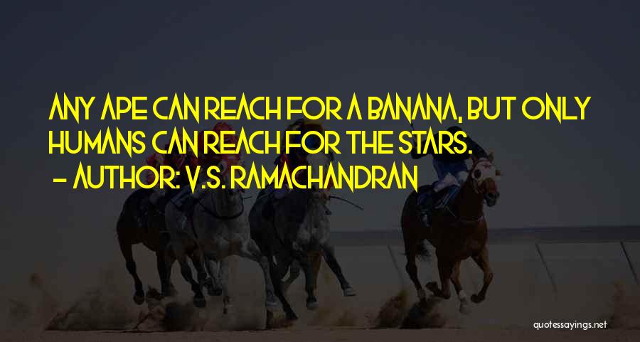 V.S. Ramachandran Quotes: Any Ape Can Reach For A Banana, But Only Humans Can Reach For The Stars.